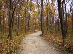 A path in Darby Metro Park is a great place to enjoy the fall surroundings.  The image is from Autumn Adventures '09 Web site.